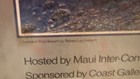 (2) Robert Lyn Nelson Maui Marine Art Framed Posters — photo 7