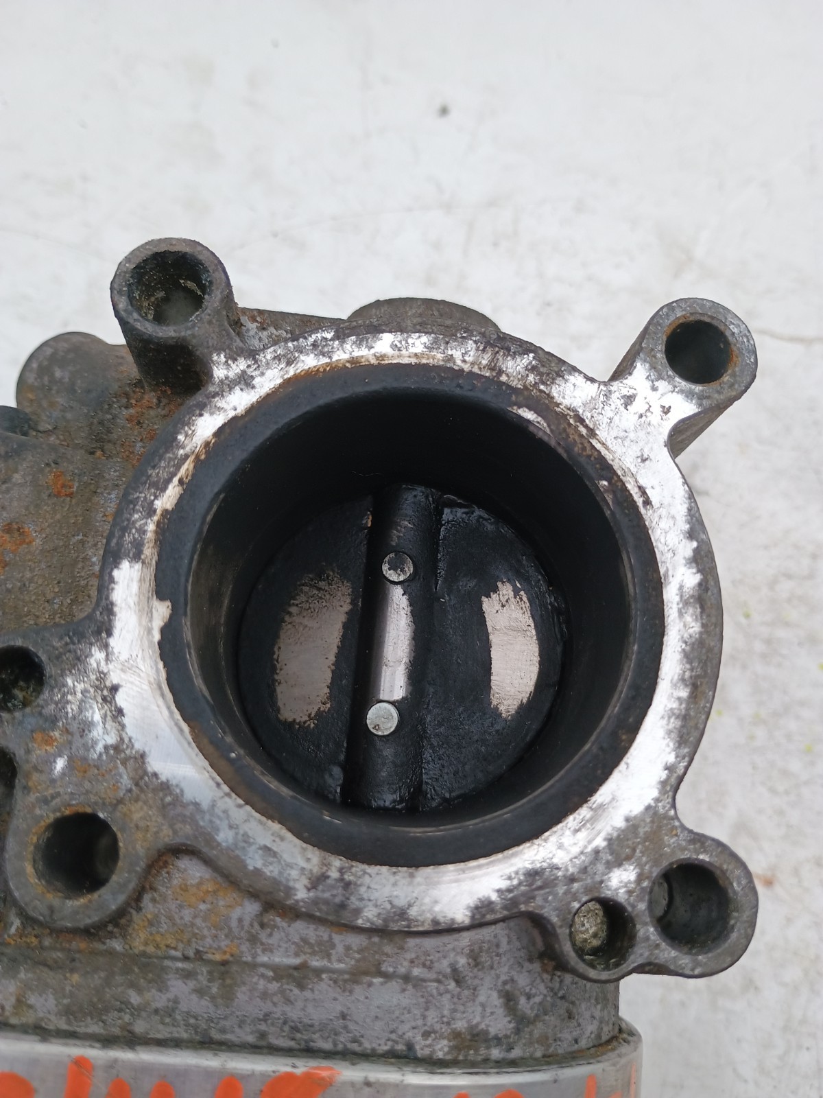 Picture 4
