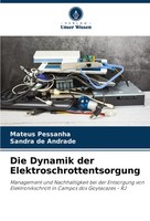 Mateus Pessanha (U. A.) | Die Dynamik Der Elektroschrottentsorgung | Taschenbuch