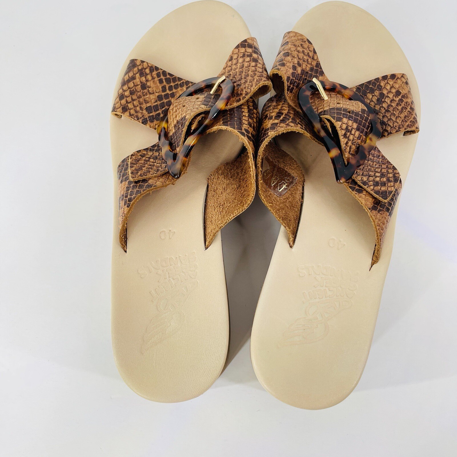 Ancient Greek Brown Thai Python Rainbow Tampa Wed… - image 12