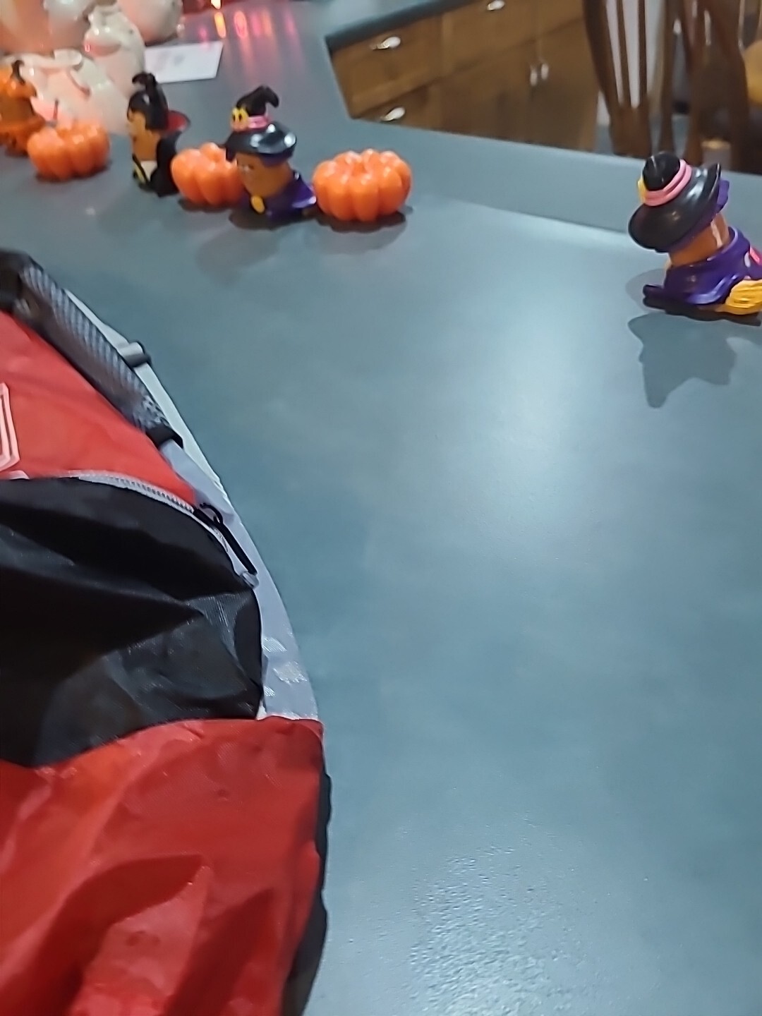 Phillips 66 Backpack Carrier - image 5