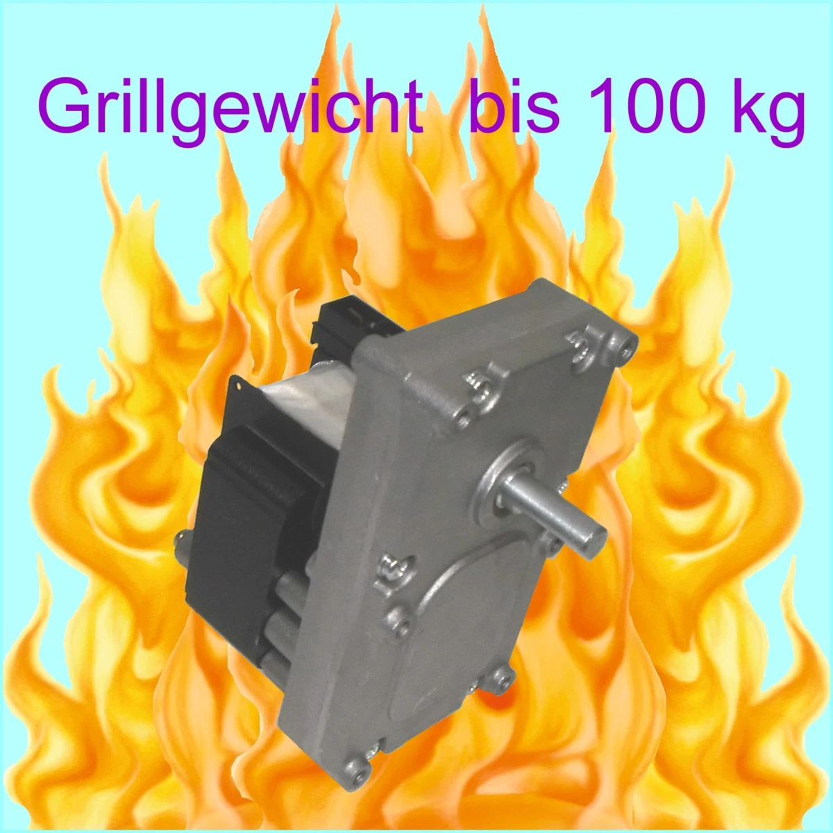 AC Getriebemotor AC Motoren mit Getriebe 25W 220V CW/CCW Untersetzung 18:1 AC Getriebemotor AC Motoren mit Getriebe 25W 220V CW/CCW Untersetzung 18:1