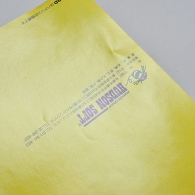 R-TYPE II 2 PC Engine Hu 3026 pe