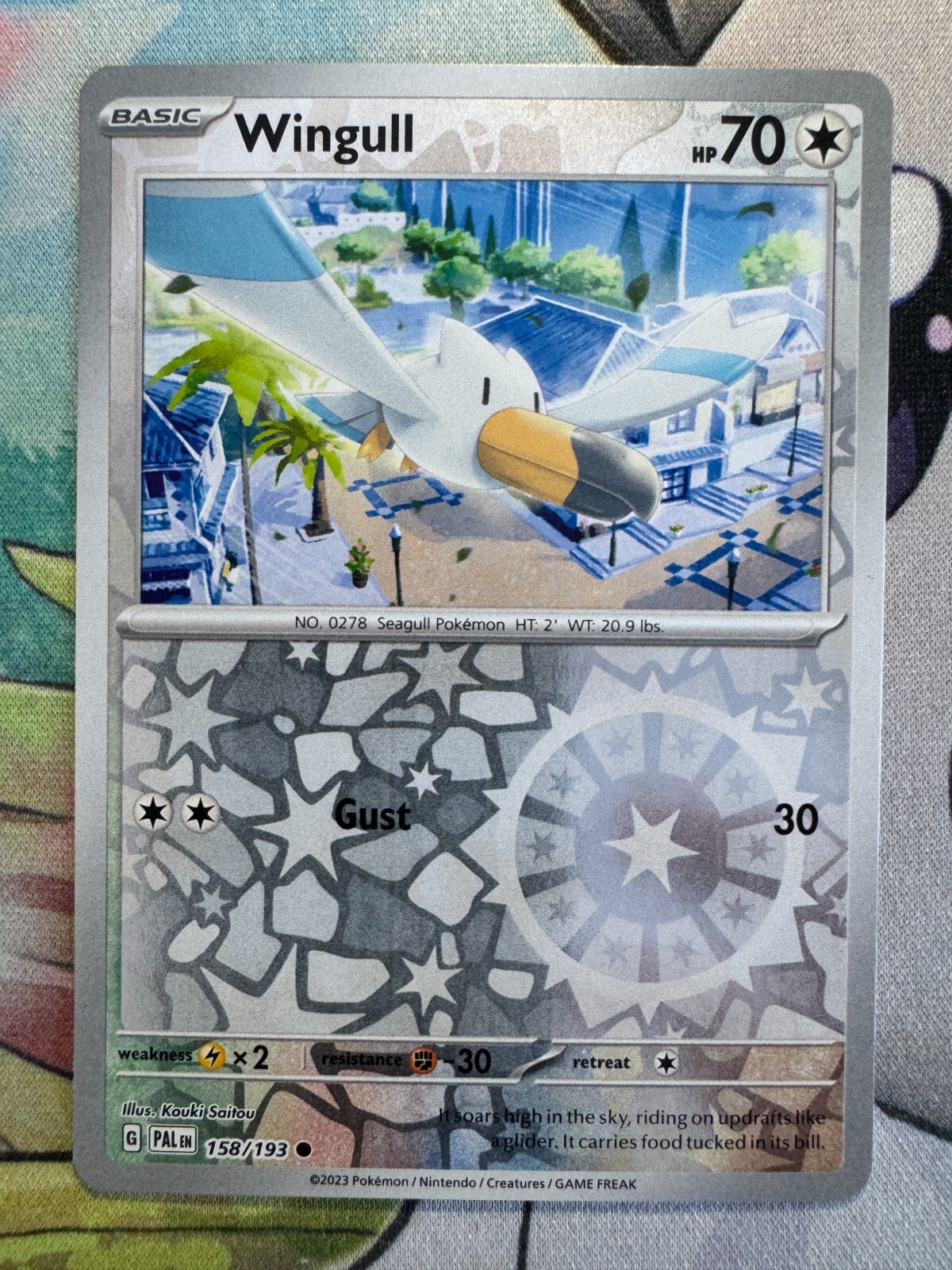 Wingull Reverse Holo English Pokemon TCG BKBM788