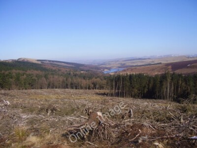 Foto 6x4 Baumfällung. Macclesfield Wald in der Nähe von Stakeside Clough. c2010