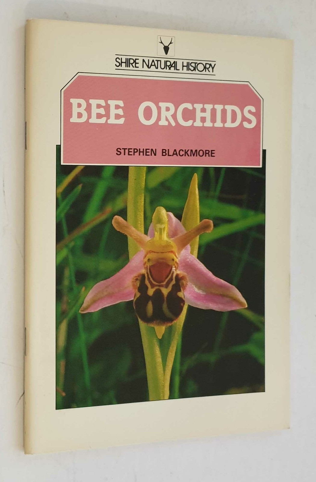 BLACKMORE Bee Orchids (Shire Natural History)