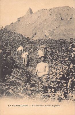 Guadeloupe - La Soufrière - Savane Lignières - Ed. Charles Colas