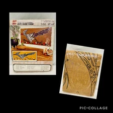 Vintage 70s RC RUG CRAFTERS Stamped Burlap Fabric Rug Making Pattern ROADRUNNER