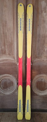 Kneissl ERGO Nomic Concept 125 S Skis: Salomon 647 Bindings: 180