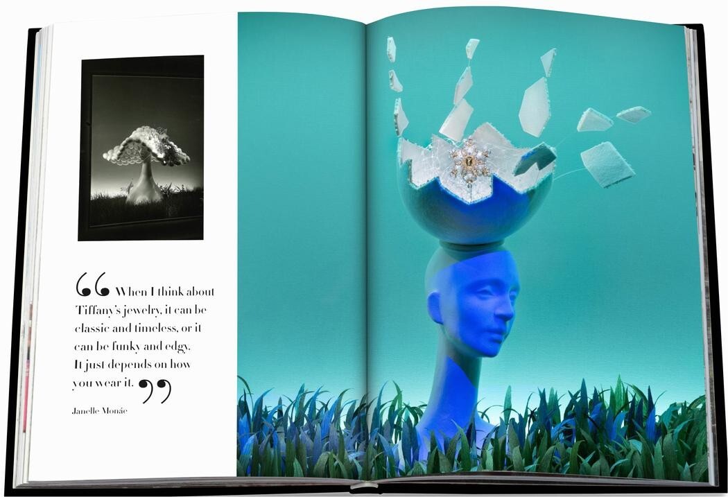 WINDOWS at TIFFANY & COMPANY ~ ASSOULINE HC - NEWEST EDITION iN