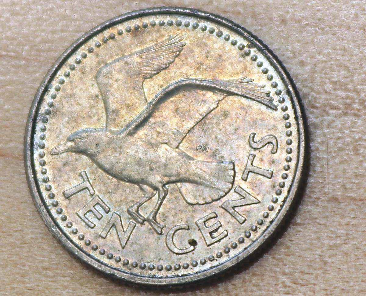トリニダード　クエバス 1990 Barbados 10 Cents Seabird | eBay
