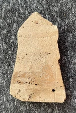 SAN FRANCISCO 1915 Artifact PLASTER HEMP FIBER PALACE OF FINE ARTS C. MUELLER jr