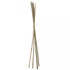 Farm Plastic Supply - Bamboo Garden Stakes - 4 & 7ft Long