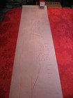 Tenderly (Sarah Vaughan) - QRS Player Piano Roll #9516: Hear It Play! — photo 5