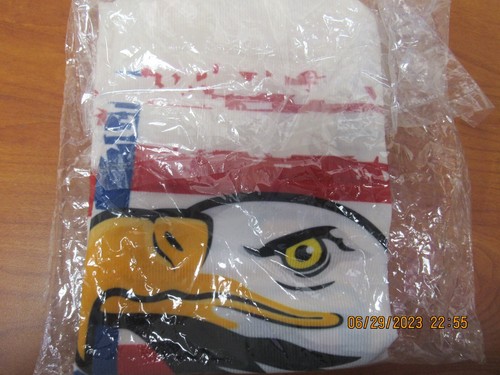 American Eagle Kissen Schein - Bild 4 von 4