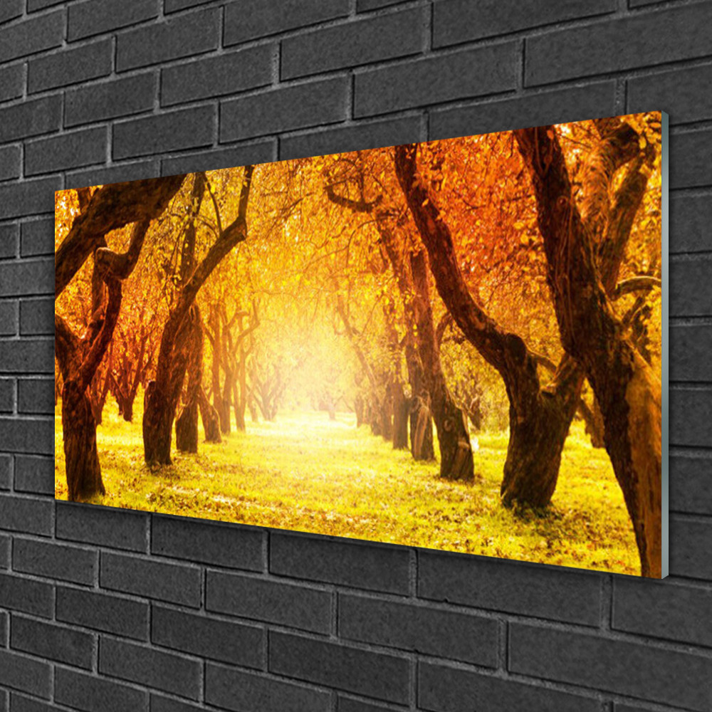Tableau impression sur verre forêt 100x50 cm décoration murale moderne