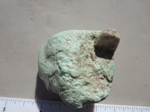 2935 VARISCITE ROUGH FROM NEVADA. EX CLOSED OLD TIME ROCK SHOP - Picture 2 of 3