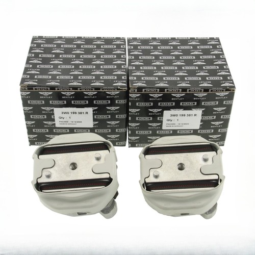 Bentley Continental GT 2007-2022 Engine mounts 2 pcs P/N 3W0199381R Photo - $223