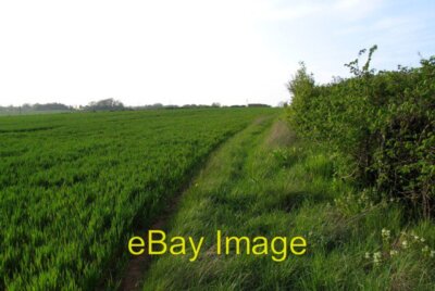 Photo 6x4 Growing well Bisbrooke Wheat or barley is a refreshing change a c2007