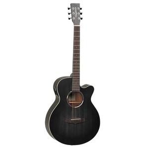 Blackbird Guitar | eBay