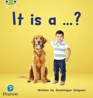 Bug Club Phonics - Phase 2 Unit 3: It Is A ...? | Dominique Simpson | Englisch