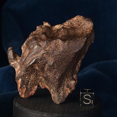 TOP Meteorit Gebel Kamil 232,66g Siderit ungruppiert Ägypten Iron Ung.