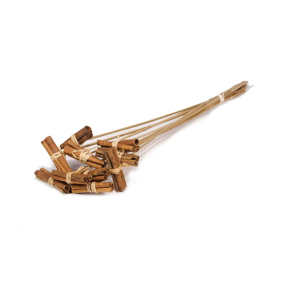 Natural Dried Cinnamon Stick Stem Posy 10 Stems 60cm