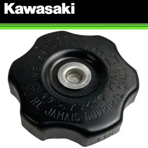 Kawasaki Zx1100 | eBay