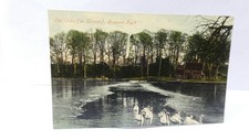 Lake Bowood Park Wiltshire Postcard Coloured 1900s Winter Swans