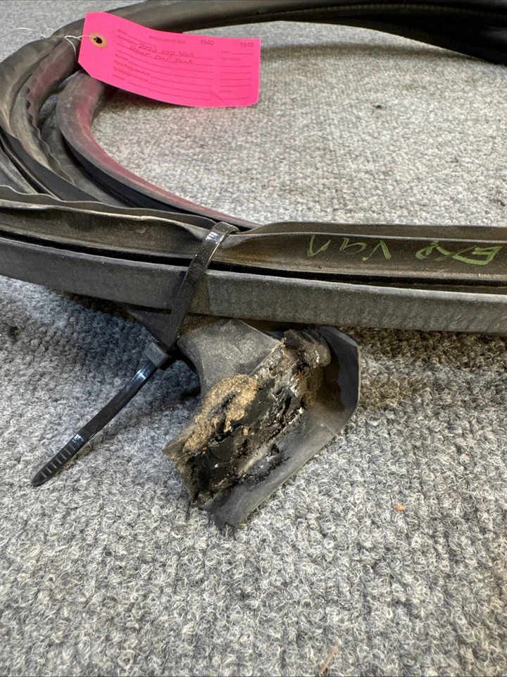 20-24 CHEVROLET EXPRESS 3500 2500 1500 CARROCERÍA PUERTA TRASERA SELLO RESISTENTE AL CLIMA OEM Foto 2 de 4