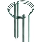New Listing24" Metal Plant Support Cages - 6 Pack for Peony Tomato Hydrangea