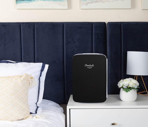 Chic 10L Portable Mini Fridge - Thermoelectric Cooler & Warmer for On-the-Go - Picture 7 of 9
