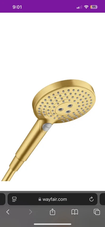 Hansgrohe 04913000 - Duchas de mano con manguera de cuello de ducha Foto 3 de 4