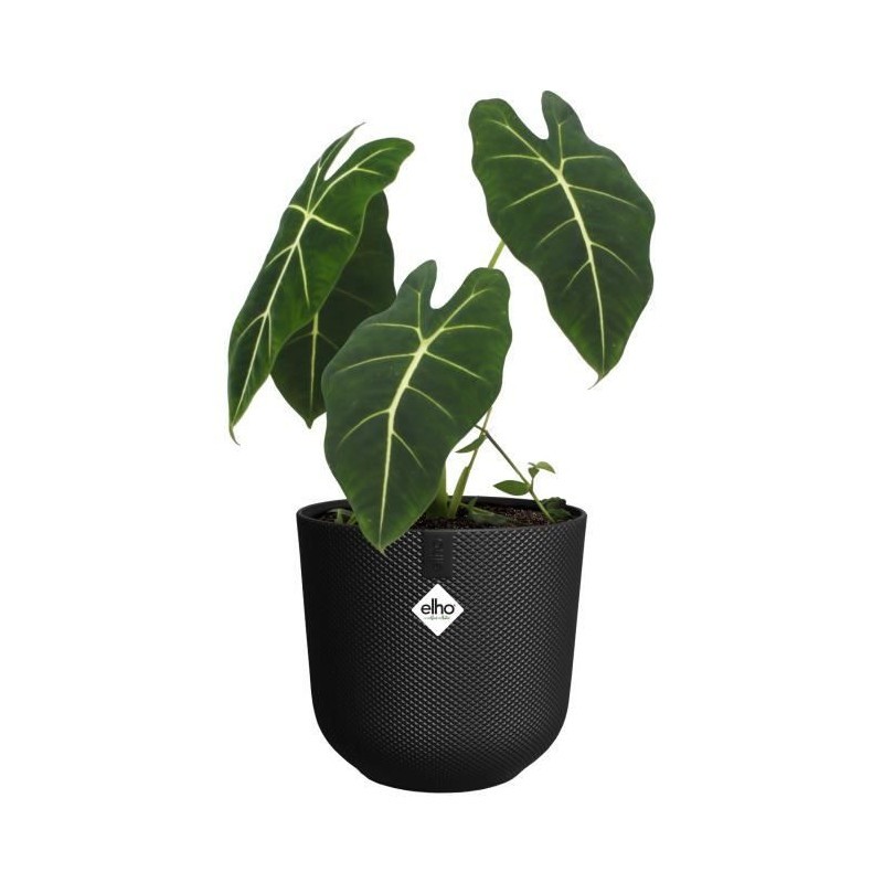 Grand pot de fleur noir Elho Jazz Rond pour décorer votre salon