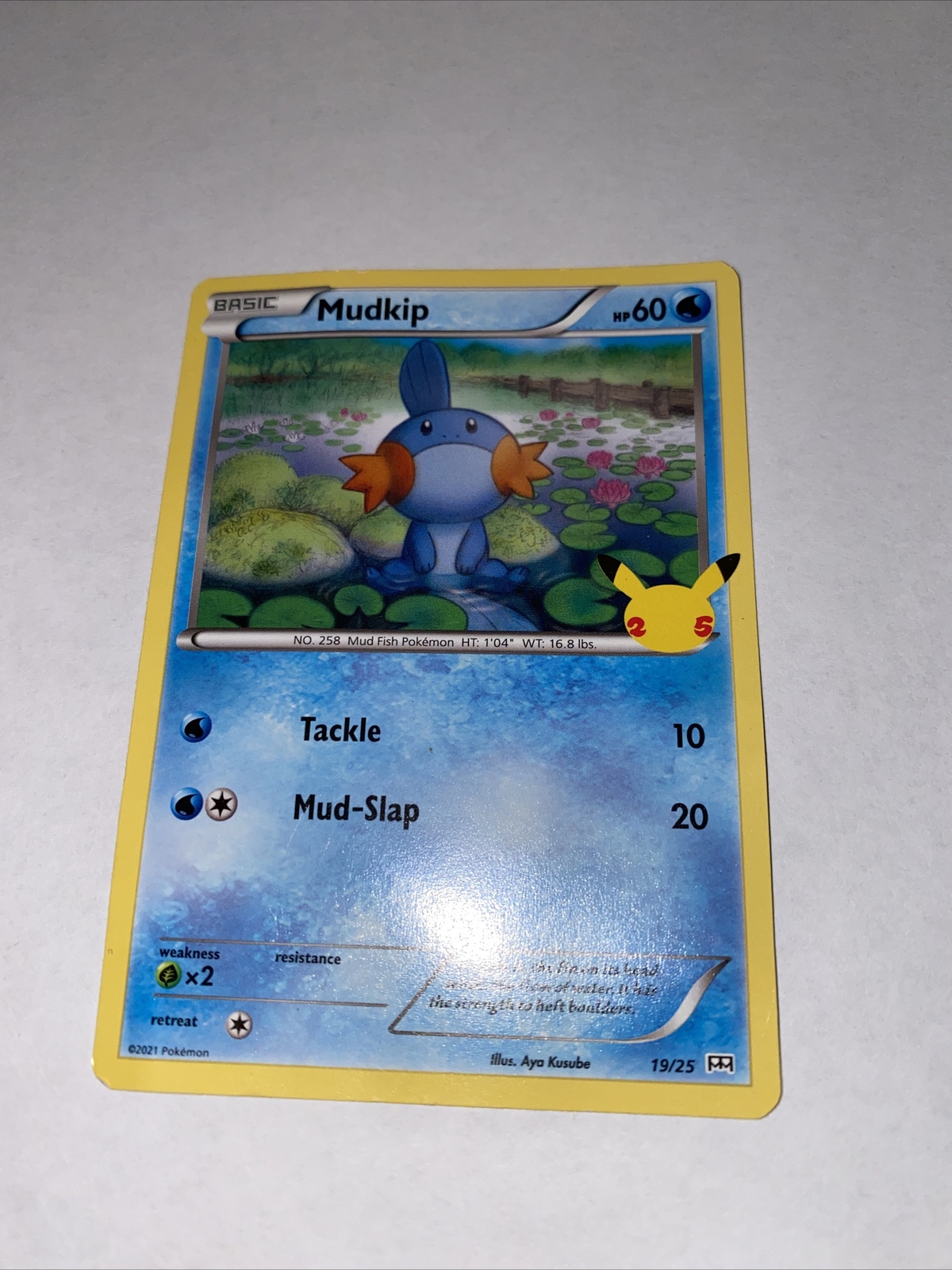 POKEMON Trading Card Basic Mudkip HP60 19/25 | eBay