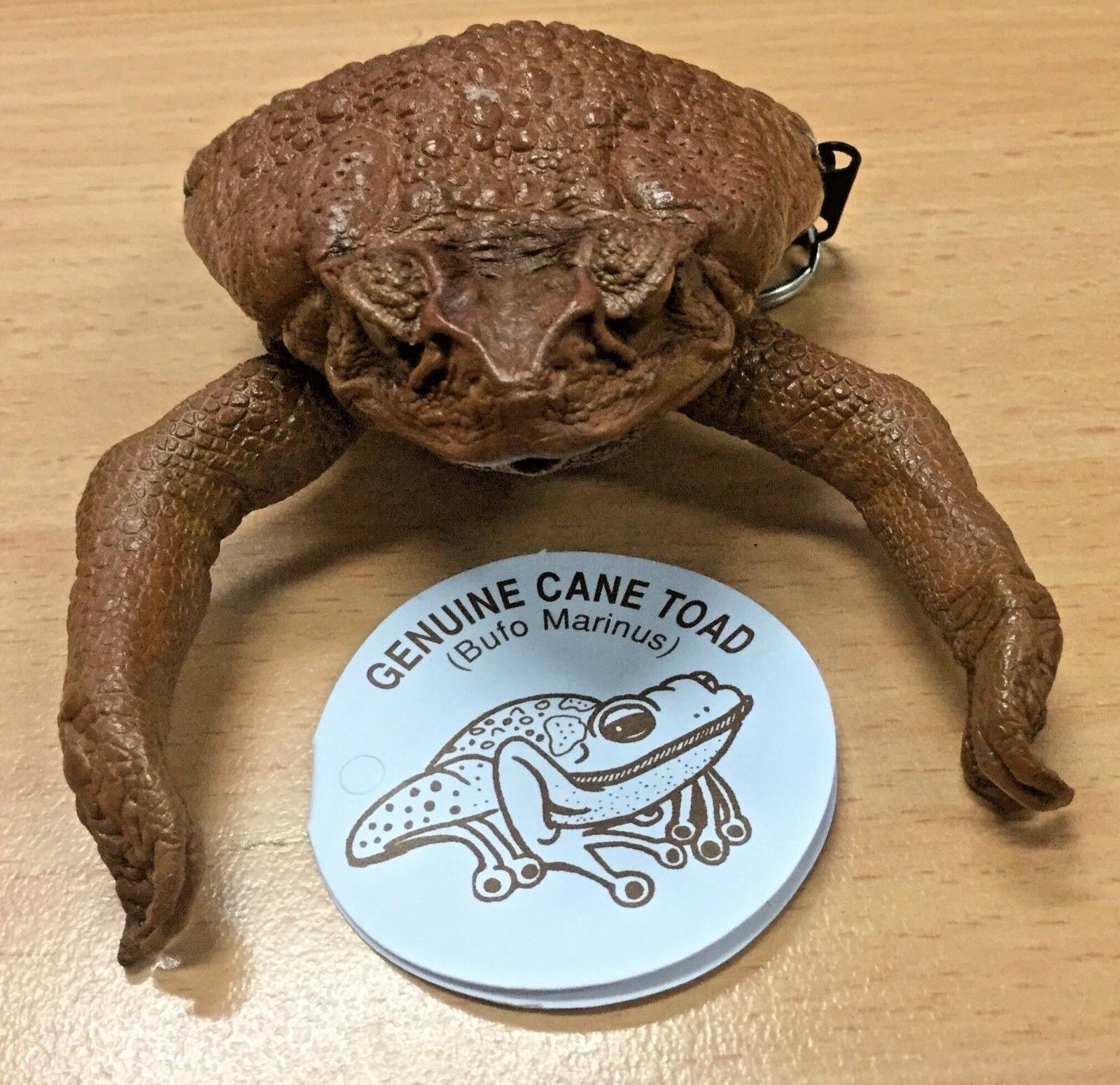 Cane Toad Purses - Toadfactory.com