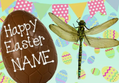 Personalisierte Grußkarte Libelle Käfer Frohe Ostern A5 Schokoladenei EE141