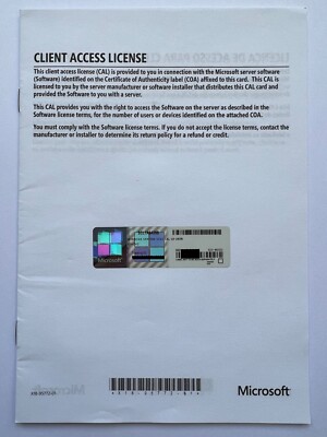 10 CAL USER (Benutzer) für Windows 2022 Server Standard Zugriffslizenz MUI