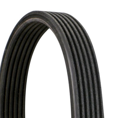 Keilrippenriemen CONTINENTAL CTAM 6DPK1697 für BMW E81 E91 E87 E90 E92 E88 E82