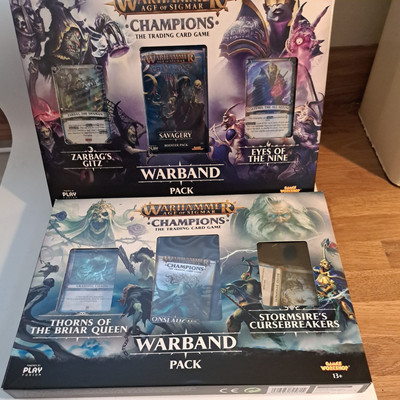 Warhammer: Age of Sigmar Champions Warband pack 1 & 2 New Sealed