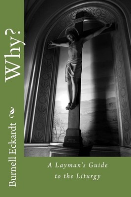 Why?: A Layman's Guide to the Liturgy by Eckardt Jr.