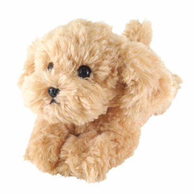 Sun Lemon Plush Doll Lap Dog Plush Hiza Wanko Toy Poodle Beige | eBay