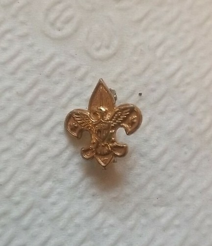 Vintage Boy Scouts Of America Eagle & Fleur-de-Lis Gold Tone Pin