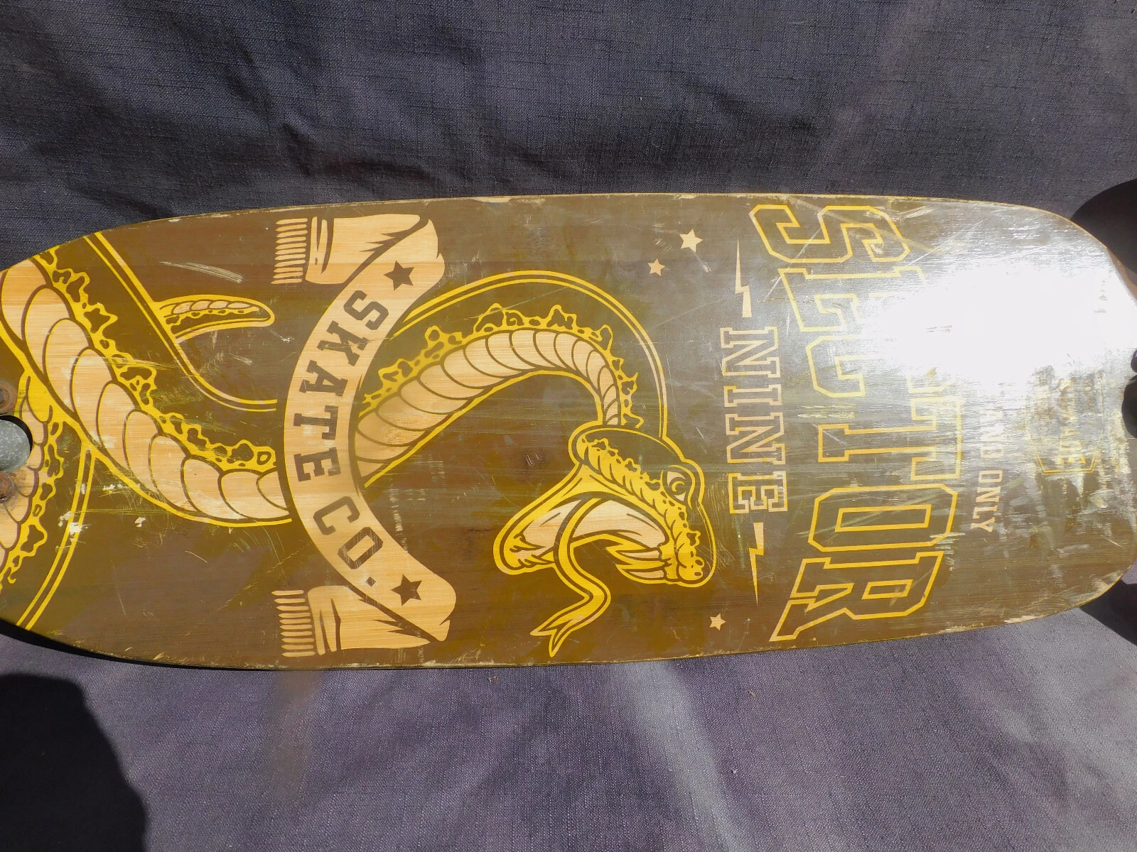 Picture 8 of 24