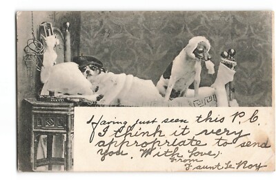 1902 Tuck ''Write Away'' Postkarte anthropomorphe Hunde schlechter Bettstrumpf AB570