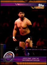 2019 Topps WWE Road to WrestleMania Bronze Parallel Singles (Pick Your Cards)