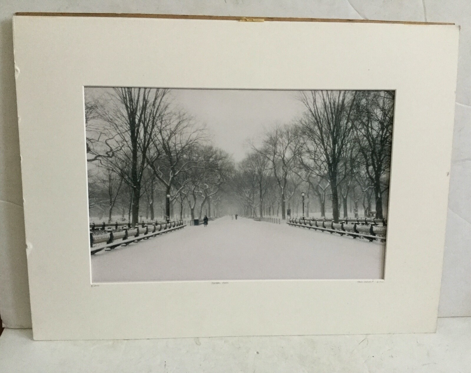 Picture 10 of 10