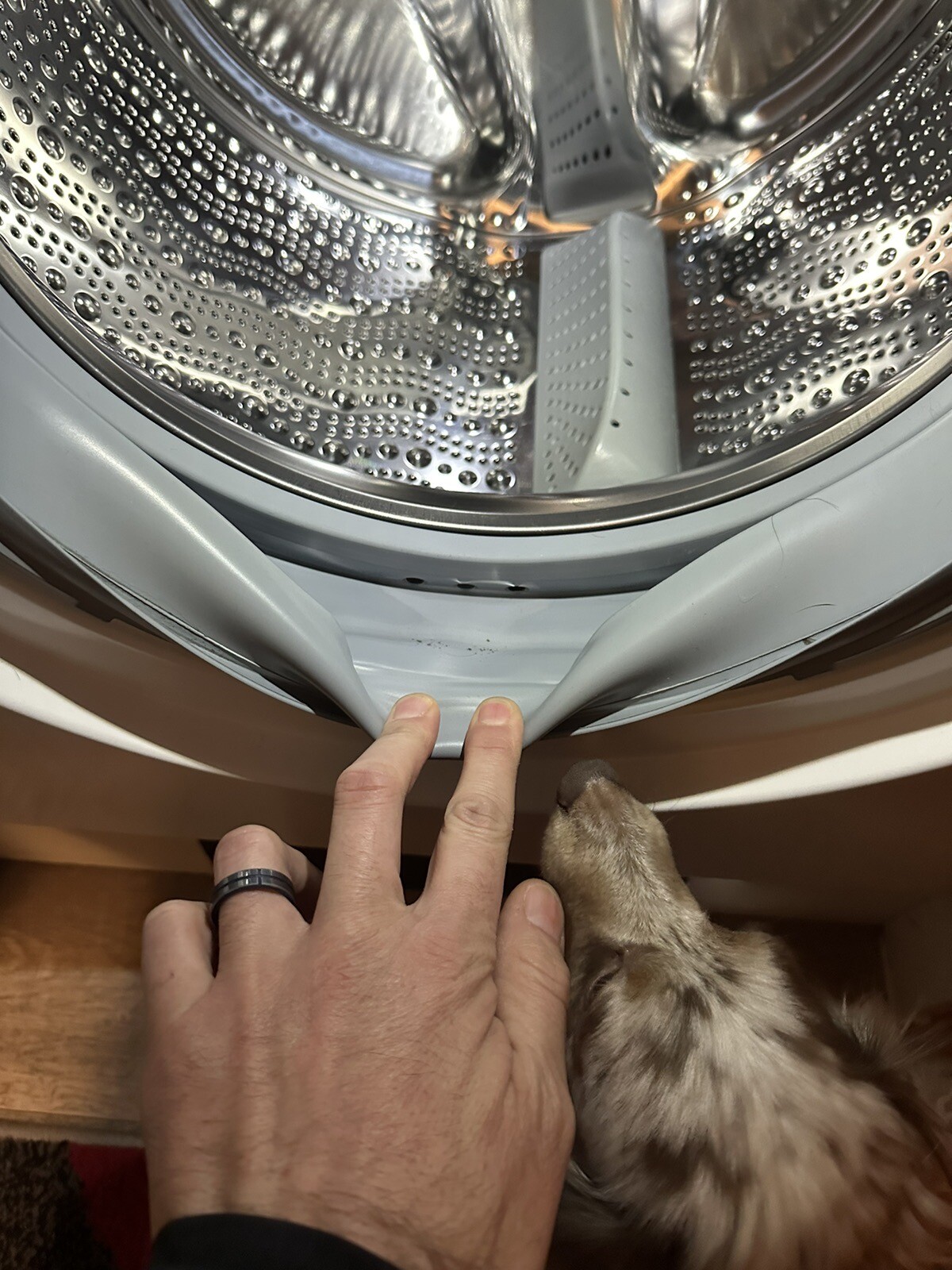 Bosch WIW28501GB Serie 8 8Kg 1400 Spin Fully Integrated Washing Machine eBay