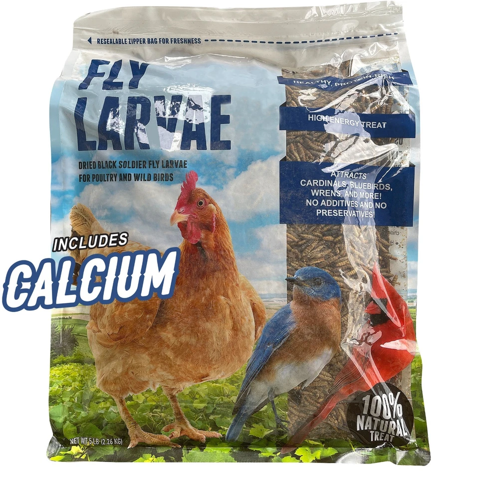 20 Lbs Bag Fly Larvae - 20 LBS TOTAL!!!! - Image 3 of 4