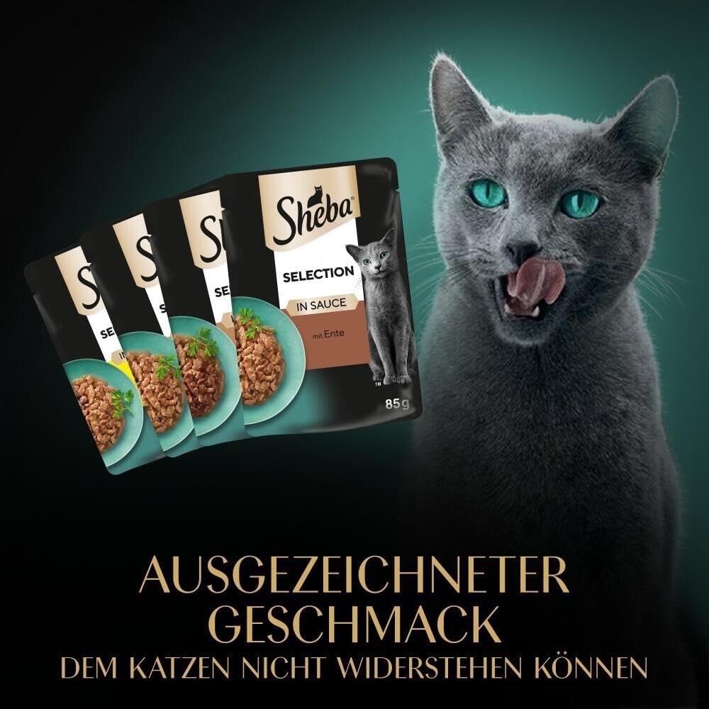 Bild 9 von 12